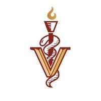 veritas veterinary partners logo image