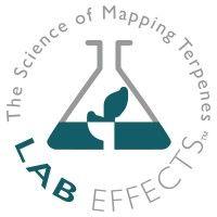 lab effects logo image