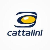 cattalini terminais marítimos logo image