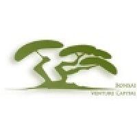 bonsai venture capital scr logo image