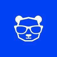 bigpanda logo image