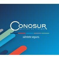 conosur corredores de seguros y reaseguros logo image