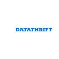 datathrift: a micro consultancy