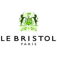 le bristol paris logo image