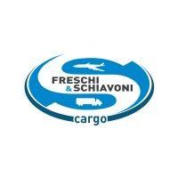 freschi & schiavoni srl logo image