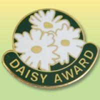 the daisy foundation logo image