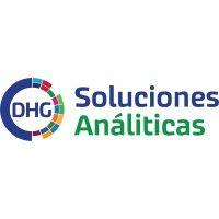 soluciones analíticas dhg logo image