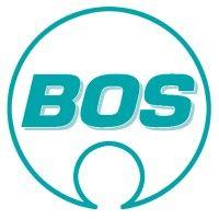 bos automotive products, inc. logo image