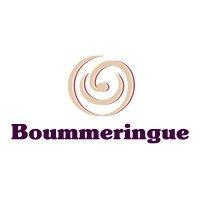 boummeringue logo image