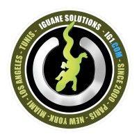 iguane solutions logo image