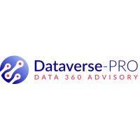 dataverse-pro logo image