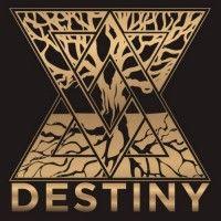 destiny spedition s.r.o. logo image