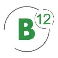 b12 consulting logo image