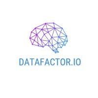 datafactor.io logo image