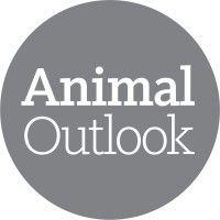 animal outlook logo image