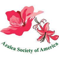 azalea society of america inc logo image