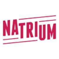 natrium logo image