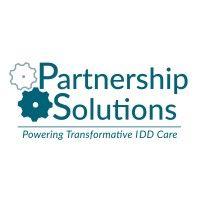 partnership solutions mso logo image