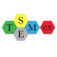 stemex academy logo image