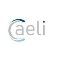 caeli technologies ltd. logo image