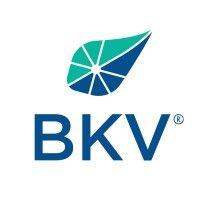 bkv corporation logo image