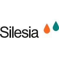 silesia flavours south east asia pte ltd logo image