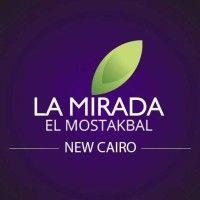 la mirada logo image