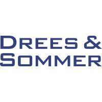 drees & sommer españa logo image