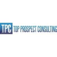 top prospect consulting, llc. logo image