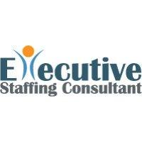 executive staffing consultant logo image