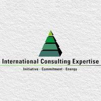 international consulting expertise logo image