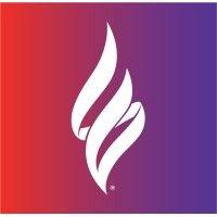 epilepsy foundation logo image