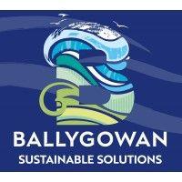 ballygowan sustainable solutions logo image