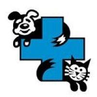 kooringal veterinary hospital logo image