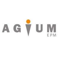 agium epm (now amco solutions) logo image