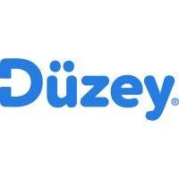 düzey logo image