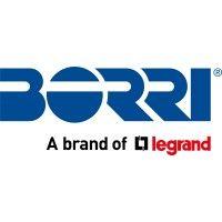 borri power (us) inc. logo image