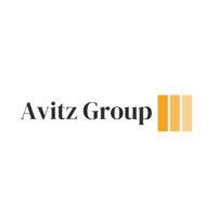 avitz group logo image