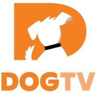 dogtv logo image