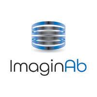 imaginab logo image