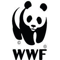 wwf-kenya logo image