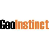 geoinstinct (vietnam & singapore) logo image