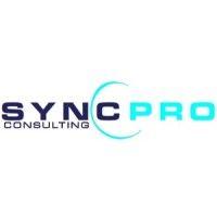 syncpro consulting inc. logo image