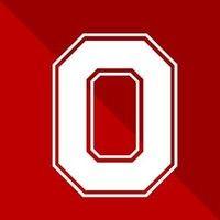 buckeye leadership fellows program at the ohio state university logo image