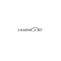 laminart logo image