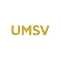 university of mount saint vincent absn logo image