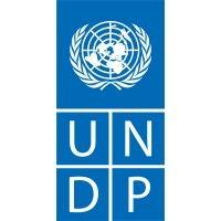 undp china