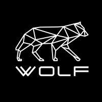 wolf technology inc. logo image