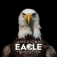 american eagle foundation logo image