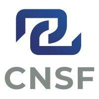 comisión nacional de seguros y fianzas logo image